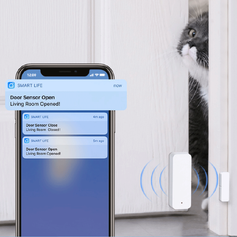 Tuya WiFi Zigbee Tür- und Fens – Smart Home Tablet Bewertung und Preis