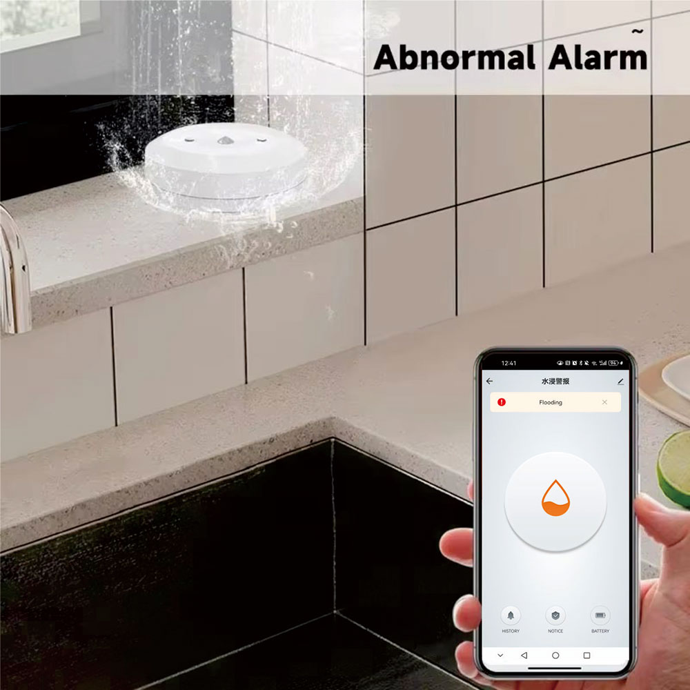 ZigBee Smart Wasserleck-Sensor – Smart Home Ecosystems Bewertung und Preis